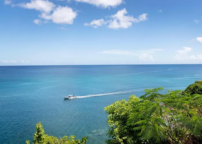 Sandals Regency La Toc All Inclusive Resort And Spa Adults Only